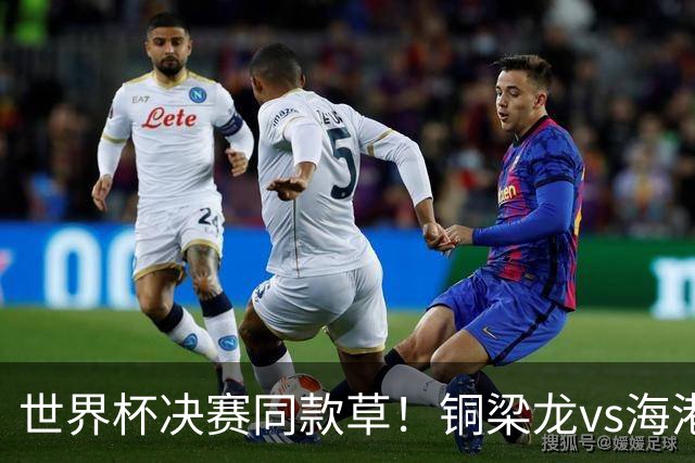 世界杯决赛同款草！铜梁龙vs海港赛前，龙兴足球场草皮条件良好